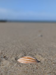 PXL_20240808_081426625.jpg