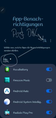 Screenshot_20240911_000919_Settings.jpg