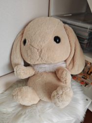 V3_Hase.png