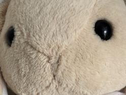 iPhone_Hase_crop.png