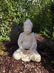 IMG_20240912_162149.jpg