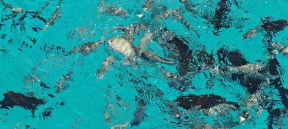 IMG_20240909_130934.jpg
