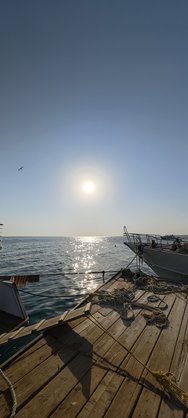IMG_20240909_075652.jpg