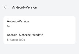 August Security Patch RMX3888_11_A.52.jpg