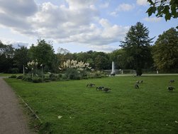20240914_162847.jpg