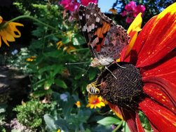 IMG_20190730_103026_Original.jpeg