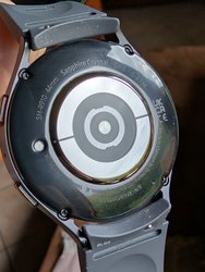 PXL_20240915_114906924.jpg