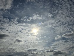 20240915_161229.jpg