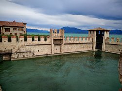IMG_20240914_133512.jpg