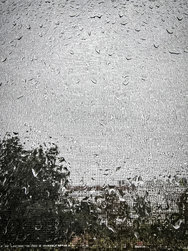 20240916_Raindrops.jpg
