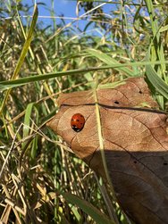 IMG_7201.jpeg