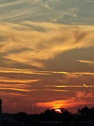 IMG_20240822_061024.jpg