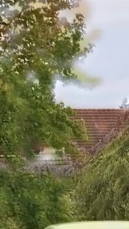 20240916_190314.jpg
