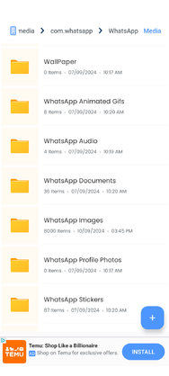 Screenshot_20240910-163506.png