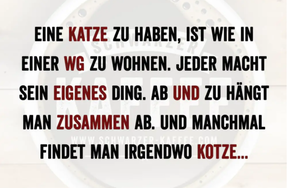 Bildschirmfoto vom 2024-09-16 22-45-41.png