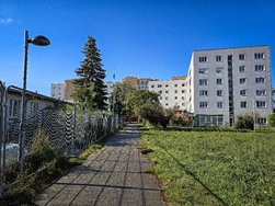 20240917_093212 12MP.jpg