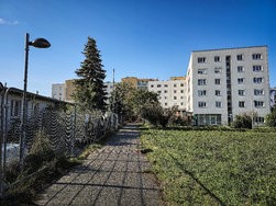 20240917_093223 50MP.jpg