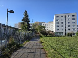 20240917_093212.jpg