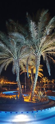 IMG_20240903_201424.jpg