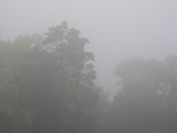 PXL_20240918_070558536.jpg
