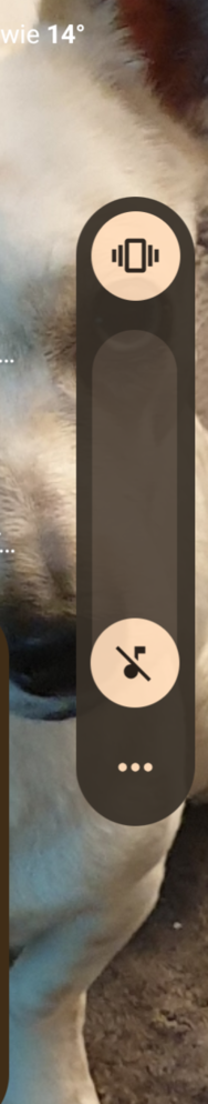 1000018165.png