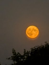 PXL_20240918_181242209.NIGHT.jpg