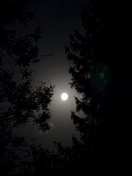 PXL_20240918_033422146.jpg
