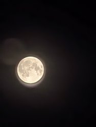 PXL_20240917_210412557.NIGHT.jpg