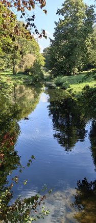 IMG_20240915_132556.jpg