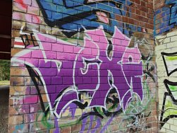 IMG_20240918_175830.jpg