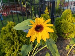 IMG_20240918_172326.jpg
