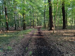 IMG_20240918_174243.jpg