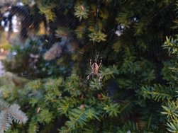 IMG_20240918_184105.jpg
