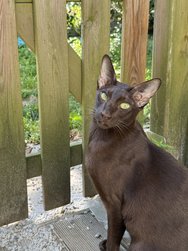 IMG_0030.jpeg