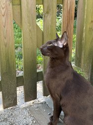 IMG_0029.jpeg