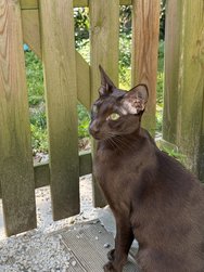 IMG_0028.jpeg