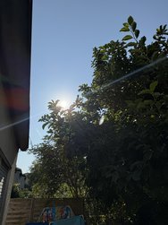 IMG_0021.jpeg