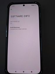 20240920_134835.jpg