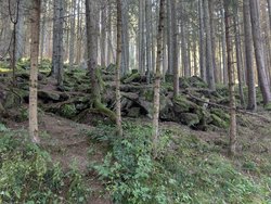 PXL_20240920_120833357.jpg