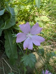 PXL_20240920_115021876.jpg