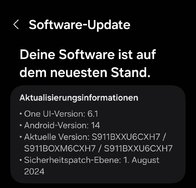 Screenshot_20240920_222957_Software update.jpg