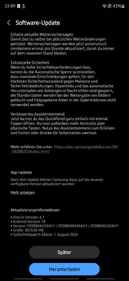 Screenshot_20240921_220912_Software update.png