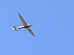 PXL_20240920_144742555.jpg