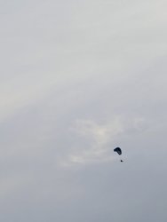PXL_20240922_164210008.MP~2.jpg