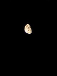 PXL_20240923_025913896.MP~2.jpg