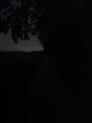 20240923_063527_Pro.jpg