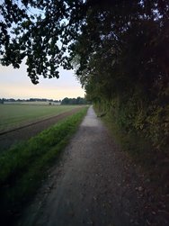 20240923_063519_Fotomode.jpg