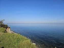 20240923_110104.jpg