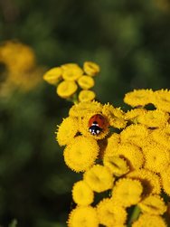 IMG_20240922_150352.jpg
