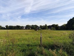 IMG_20240922_171306.jpg